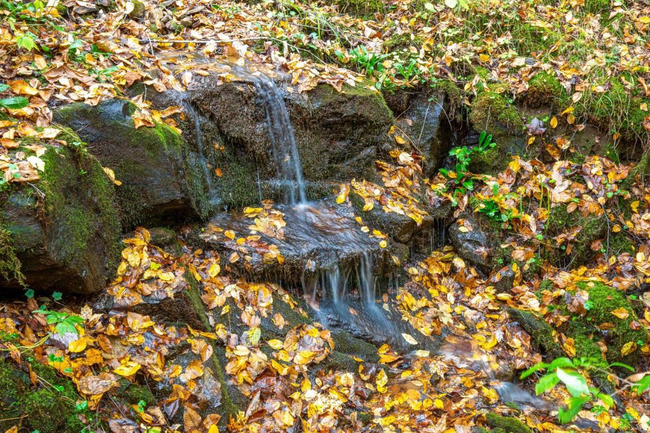 Mountain Top Tranquility Sylva Exterior photo